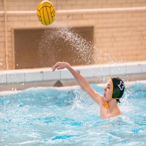 Henry Palilonis mugshot