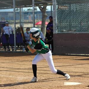 Emily Perkins mugshot