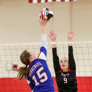 Allison Hardwick mugshot