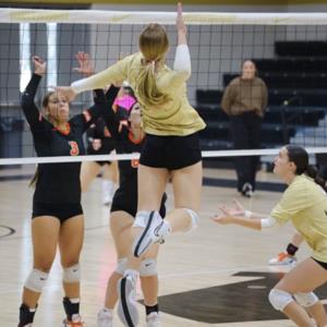 Madelyn Patterson mugshot