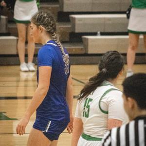 Ryliann Bednar