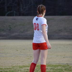AVONLEA SEGARS