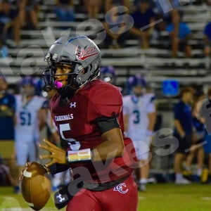 Jayden Debbs mugshot