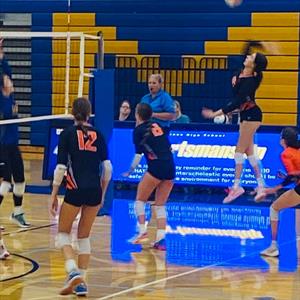 Sophia Pelton mugshot