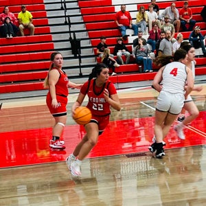 Tesli Johnson mugshot