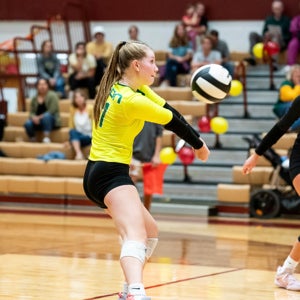 Bella Widmer mugshot