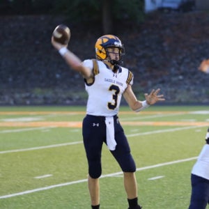 Nikolos Vitiello mugshot