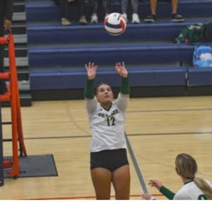 Bristol Hannah mugshot