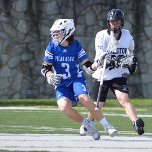 DOMINICK STINGO