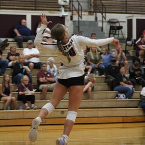 Addison Arend