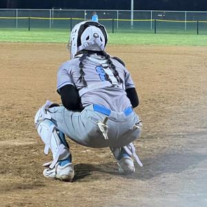 Angelina Diaz mugshot