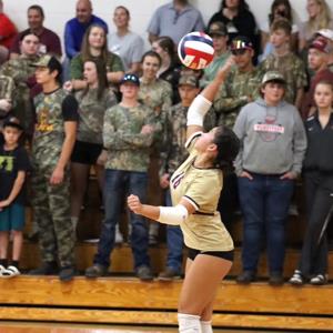 Shella Olsvig mugshot