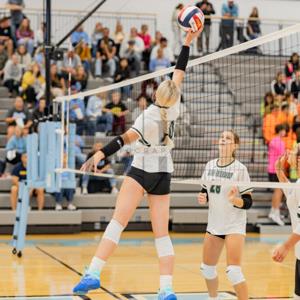 Caylee Frank mugshot