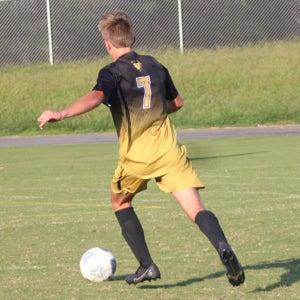 Damon Cook