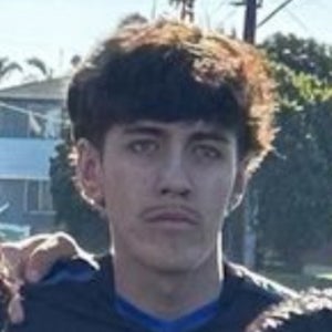 Nicolas Higareda mugshot