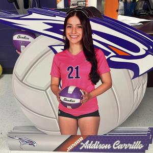 Addison Carrillo mugshot