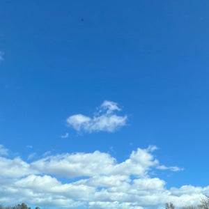 V O