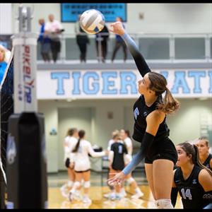 Sydney Nance mugshot