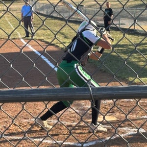 Elisa Hidrogo mugshot