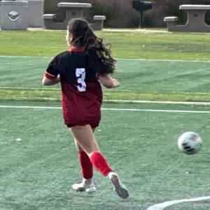 Alaina D'Alessandro mugshot