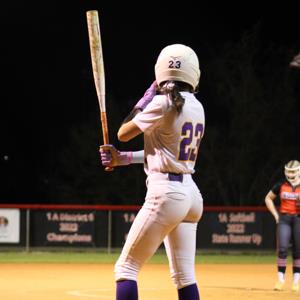 Lillyenne Mayhew mugshot