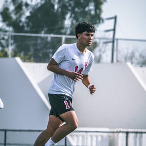 Sebastian Dominguez