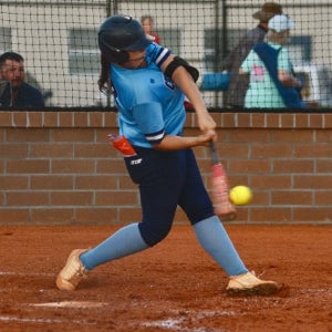 ANSLEY NESBIT