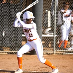 Maria Castillo mugshot