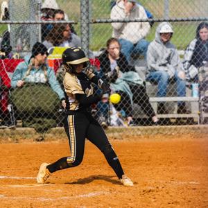 Reagan Cherry mugshot