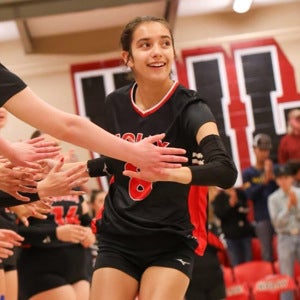 Lillian Parker mugshot