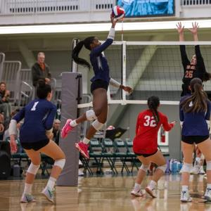 Emilie Ferdinand mugshot