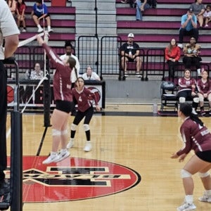 Gracelyn Collins mugshot