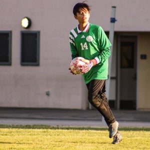 Vladimir Mercado mugshot