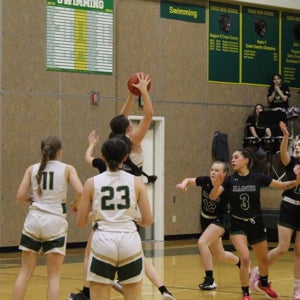 Sara Steffen mugshot