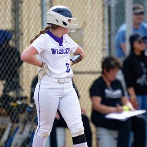 Ashley Fields mugshot