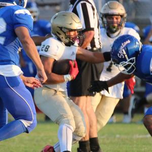 Nathaniel Stevens mugshot