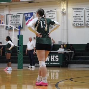 Maci Phillips