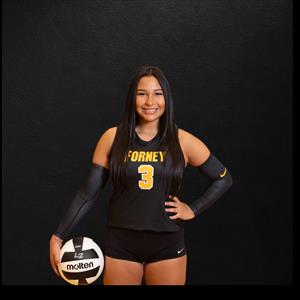 Arianna Reyna mugshot