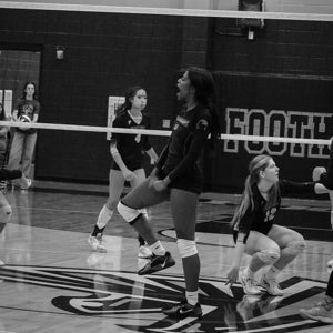 Jaida Rainey mugshot