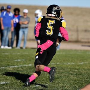 Brock Dollerschell mugshot