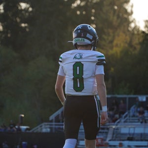 Dalton Watson