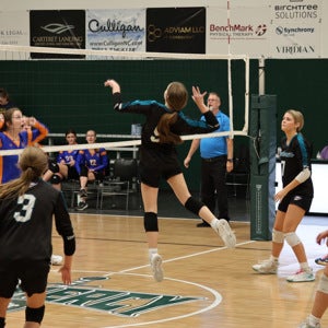 Miranda Lamm mugshot