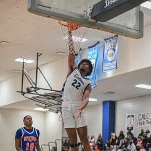 Tavis Hatch