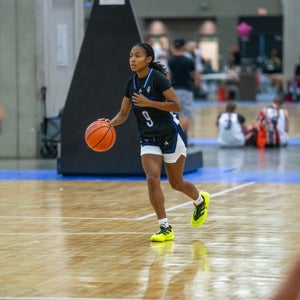 Analia Santana mugshot