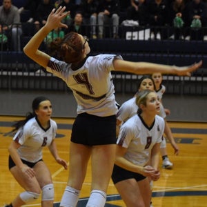 Lilly Dickerson mugshot