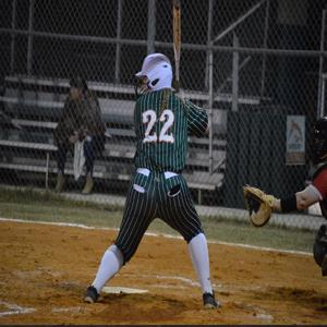 Hannah Record mugshot