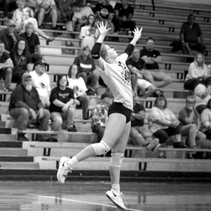 Emily Westerhold