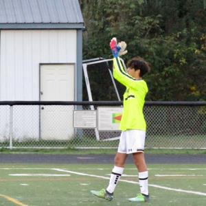 Mark Perone