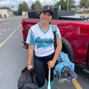 Daniela Figueroa mugshot