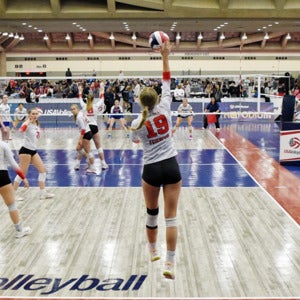 Emily Feierfeil